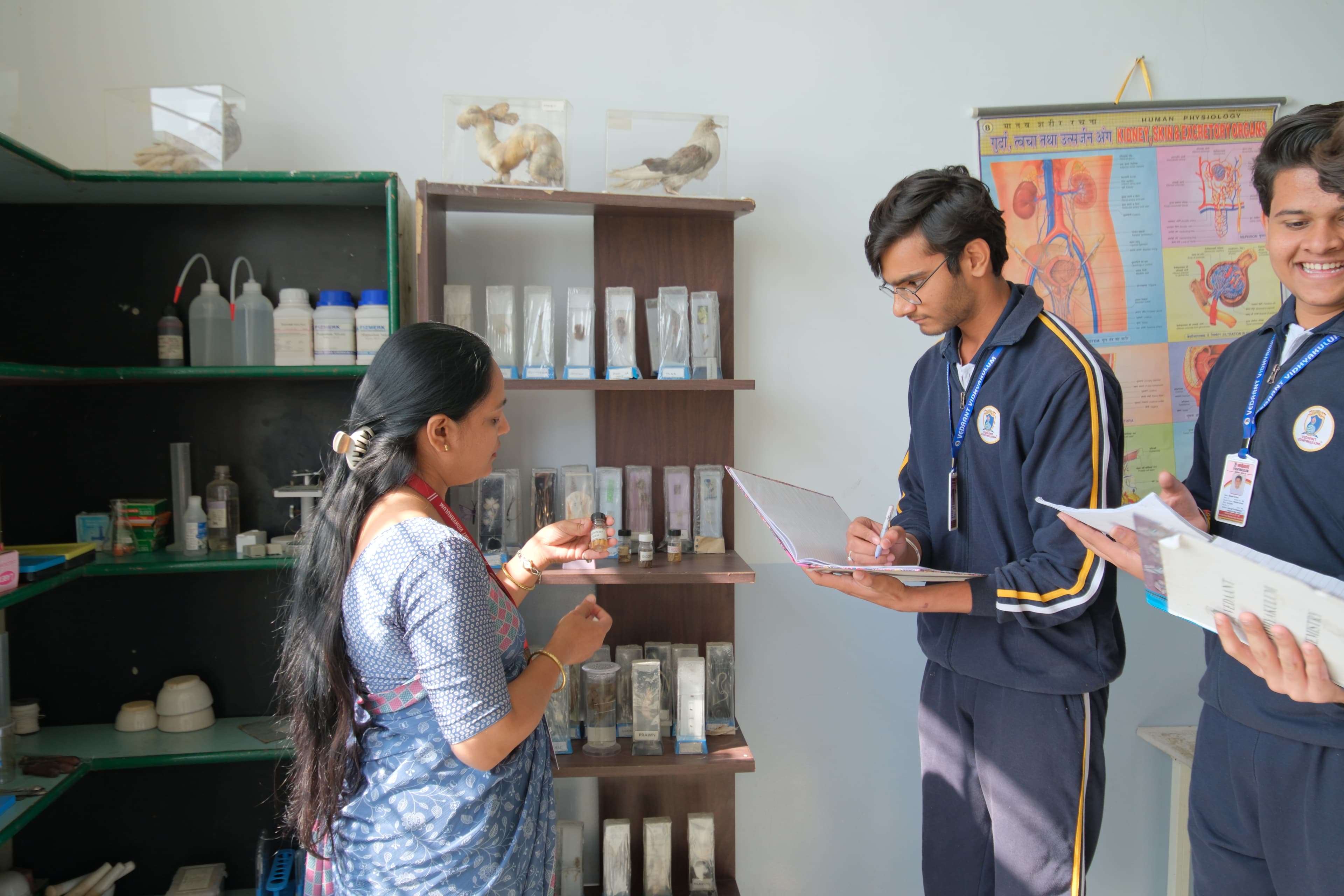 Assessment and Feedback