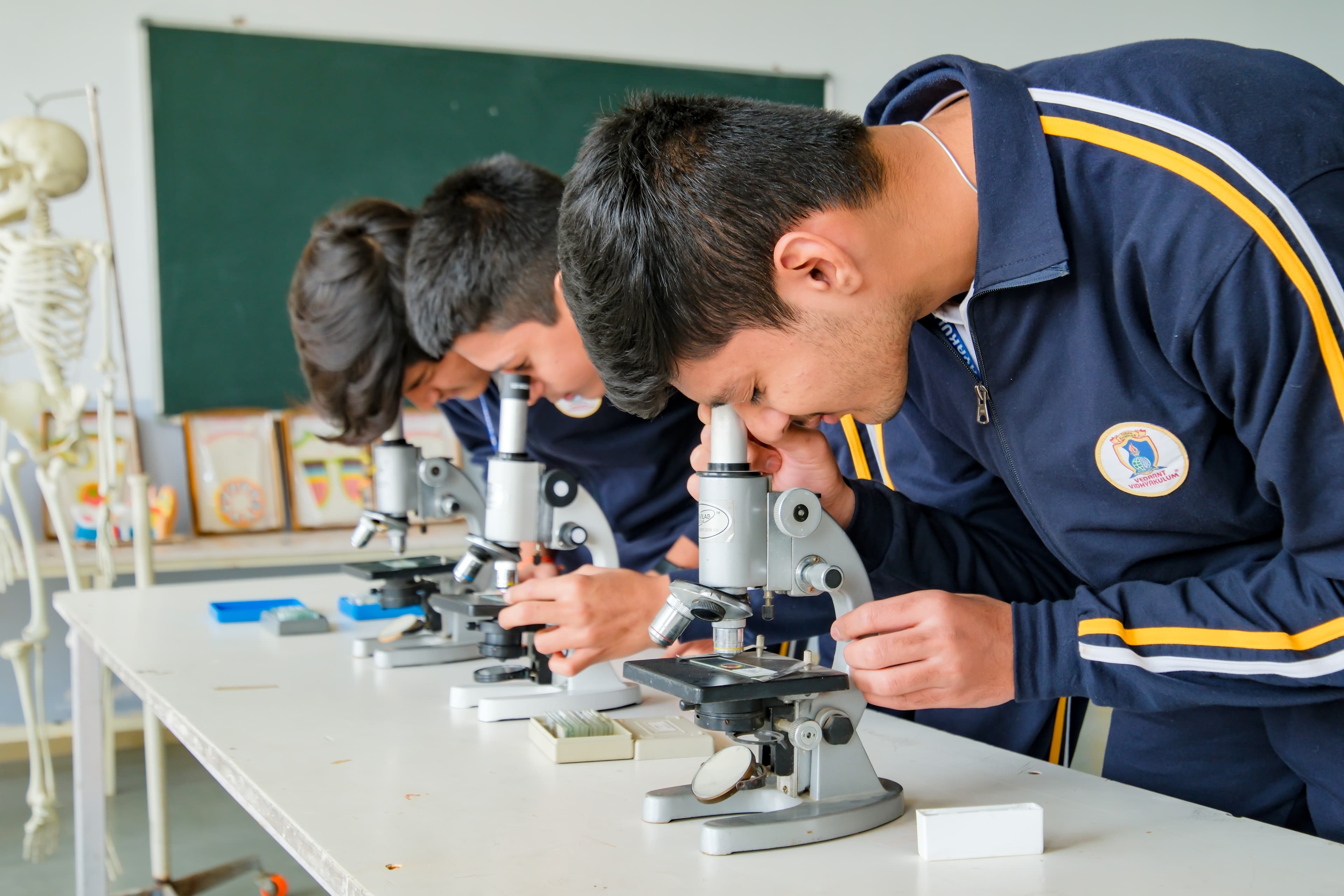 Swings and playground